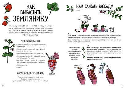 Огород круглый год. Твоя грядка на балконе - фото 4