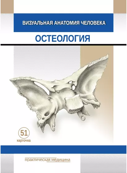 Визуальная анатомия человека: Остеология: учебное пособие (51 карточка) - фото 1