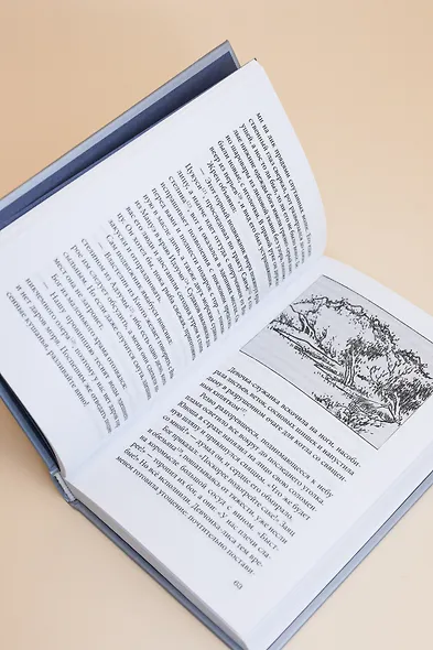 Сказки весеннего дождя. Повесть Западных гор - фото 11