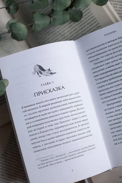 Русский книжный в Будапеште. Мечты и бизнес под одной крышей - фото 9