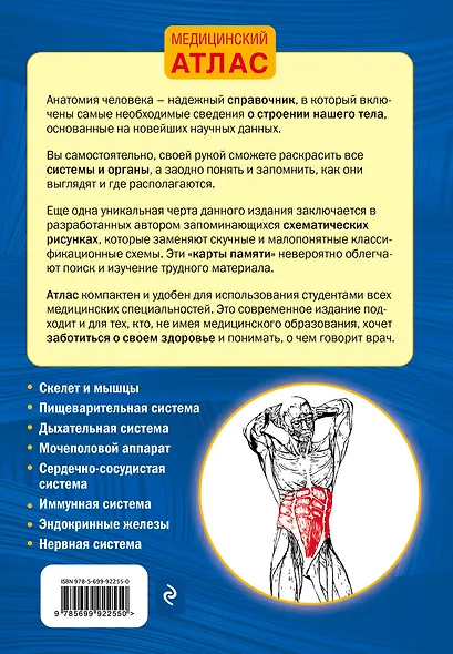 Анатомия человека со страницами для раскрашивания - фото 2