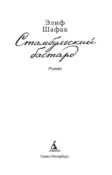 Стамбульский бастард - фото 5