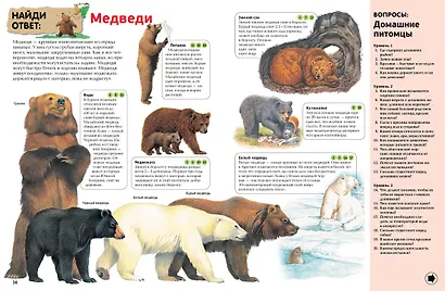 Интерактивная энциклопедия для школьников - фото 10