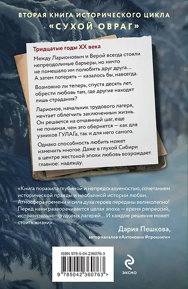 Сухой овраг. Отречение - фото 2