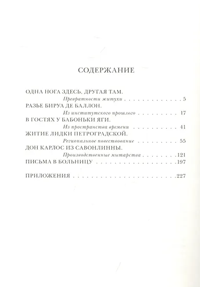 Житие Лидки Петроградской - фото 2