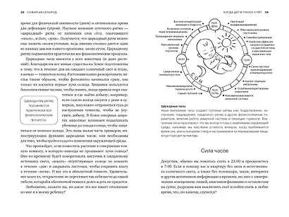 Когда дети плохо спят. Циркадные ритмы, часовые гены и другие секреты сомнологии для заботливых родителей - фото 4