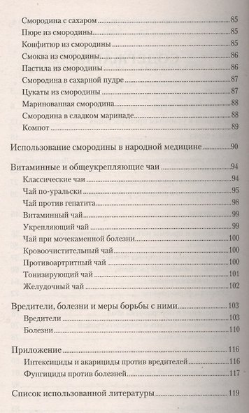 Всё о чёрной смородине. Экология XXI века - фото 3
