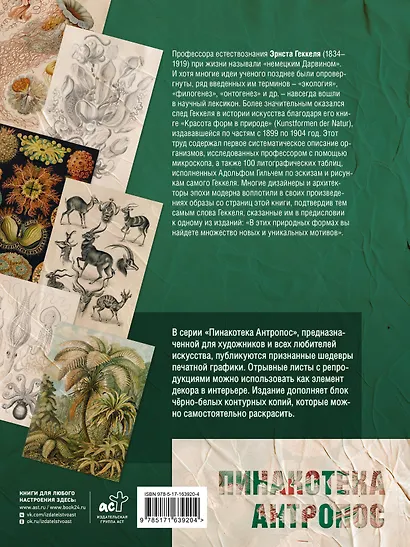 Красота форм в природе. Альбом старинных иллюстраций - фото 2