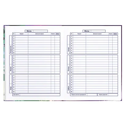 Дневник для средних и старших классов Феникс+, "Кеды" - фото 4