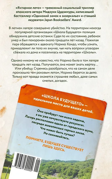 Янтарное лето - фото 2