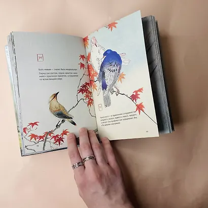 Шепот Вселенной. 101 послание к Тебе, несущее Свет и Тепло - фото 11