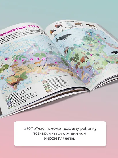 Животные. Мой первый атлас с наклейками - фото 5