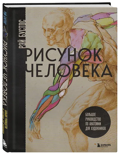 Рисунок человека. Большое руководство по анатомии для художников - фото 3