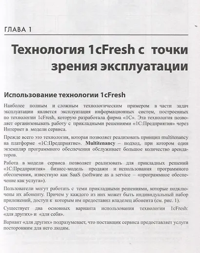 Методическое пособие по эксплуатации крупных информационных систем на платформе 1С Предприятие 8 (2 - фото 7