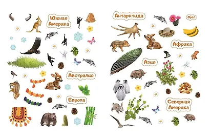 Животные на континентах. Книжка с многоразовыми наклейками - фото 3