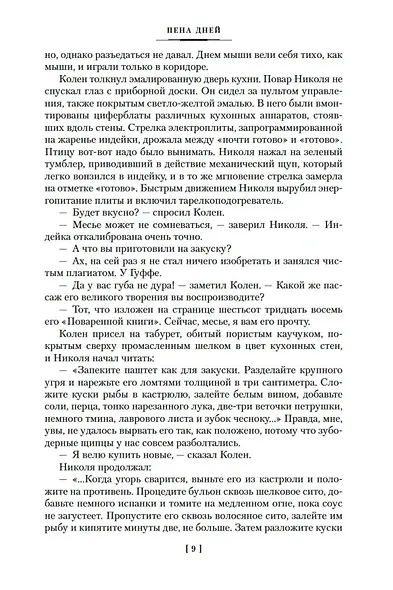 Пена дней и другие истории - фото 13