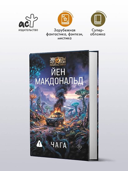 Чага - фото 3