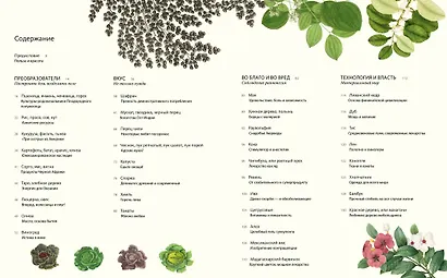 Выдающиеся растения, которые изменили нашу жизнь - фото 4