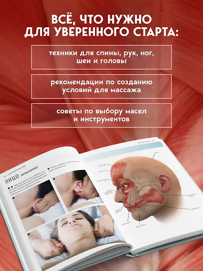Анатомия массажа. Основы массажа нижней и верхней части тела с анатомическими иллюстрациями - фото 5