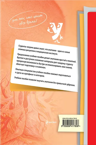 Нормальная анатомия человека - фото 2