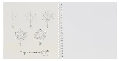 Альбом для рисования красками "Осенний лес", 20 листов, на гребне - фото 2