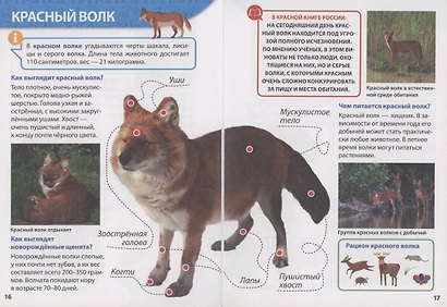 ЭНЦИКЛОПЕДИЯ ДЛЯ МАЛЕНЬКИХ ПОЧЕМУЧЕК. Красная книга - фото 5