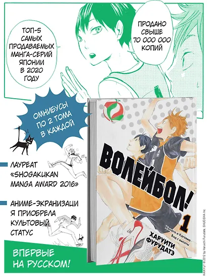 Волейбол! Том 1 - Хината и Кагэяма. Вид с высоты (Haikyuu!). Манга - фото 6