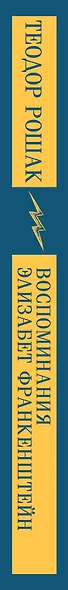 Воспоминания Элизабет Франкенштейн - фото 12