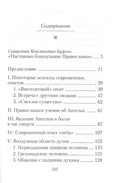 Душа после смерти: Современные «посмертные» опыты в свете учения Православной Церкви - фото 2