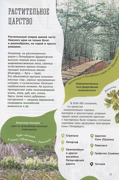 Большой путеводитель на юг от Санкт-Петербурга. Гатчинско-Лужское направление - фото 7