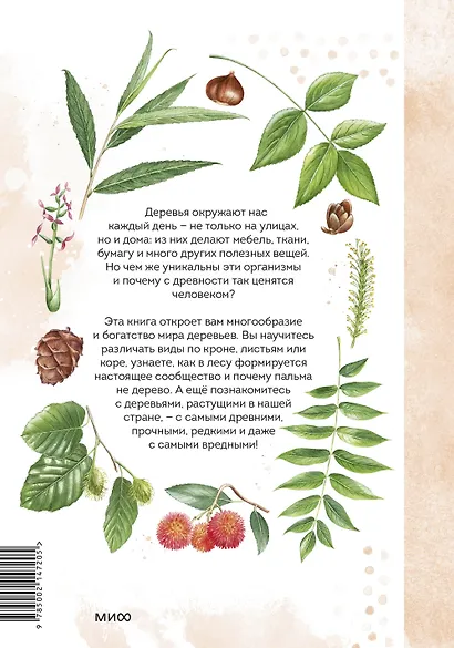 Деревья. Атлас-определитель - фото 2