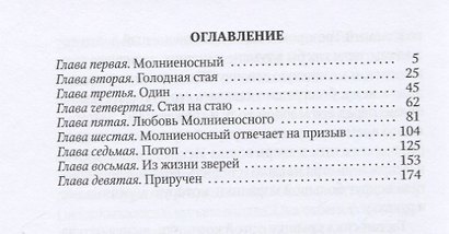 Молниеносный. Повесть - фото 2