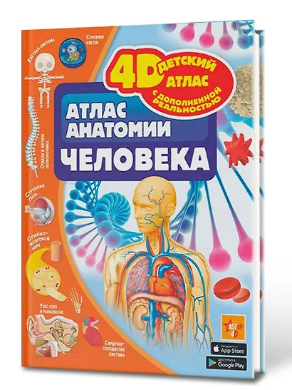 Атлас анатомии человека - фото 3