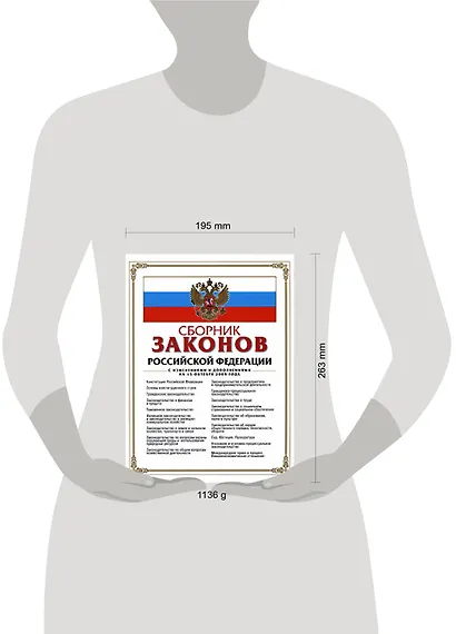 Сборник законов Российской Федерации с изменениями и дополнениями на 15 октября 2008 г. - фото 2