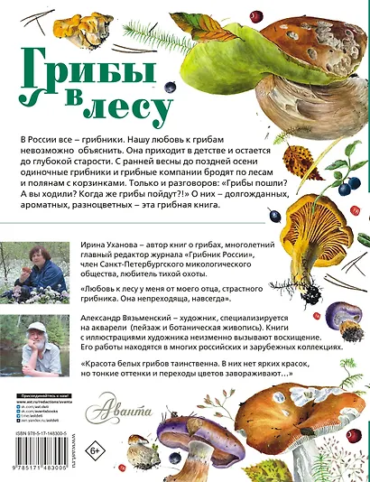 Грибы в лесу - фото 2