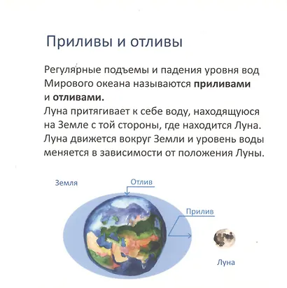 Планета чудес - фото 5