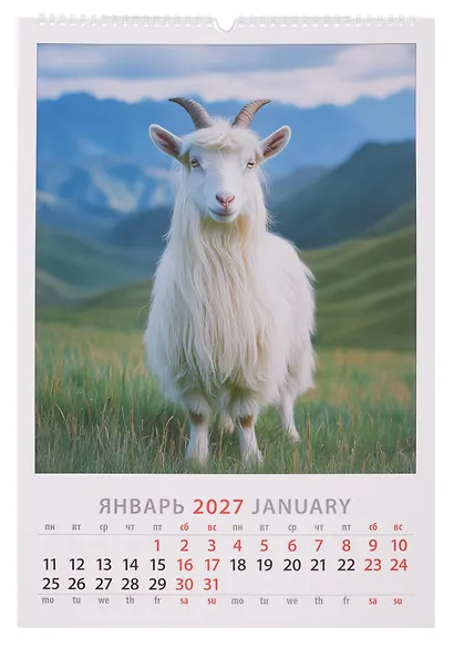 Календарь 2027г 350*500 «Год козы и овцы» настенный, на спирали - фото 3