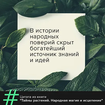 Тайны растений. Народная магия и исцеление - фото 6