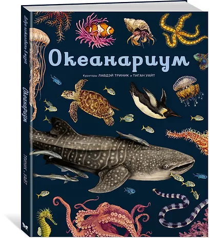 Океанариум - фото 3