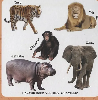 Первые слова - фото 3