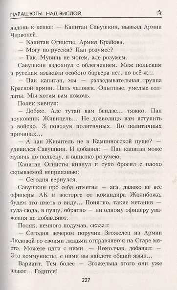 Парашюты над Вислой. Роман - фото 6