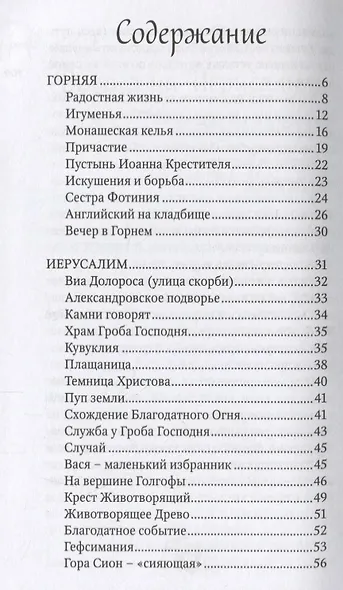 Иерусалимские рассказы. Записки паломницы - фото 2