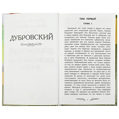Дубровский. Капитанская дочка - фото 4