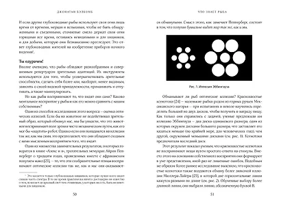 Что знает рыба. Внутренний мир наших подводных собратьев - фото 3