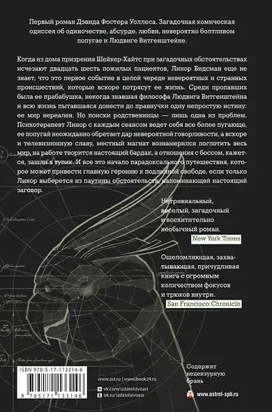 Метла системы - фото 2