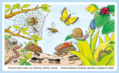 Животные - фото 5