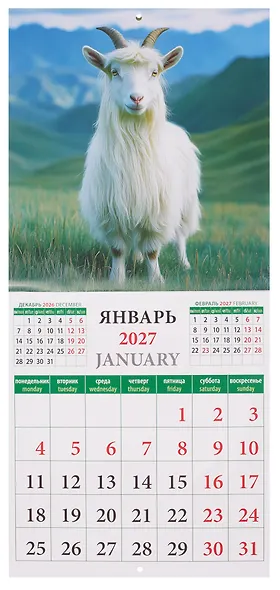 Календарь 2027г 220*240 «Год козы и овцы» настенный, на скрепке - фото 4