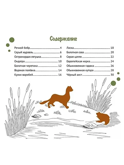 Белорусские болота. Серия "Планета животных" (Соц. значимая 2023) - фото 2