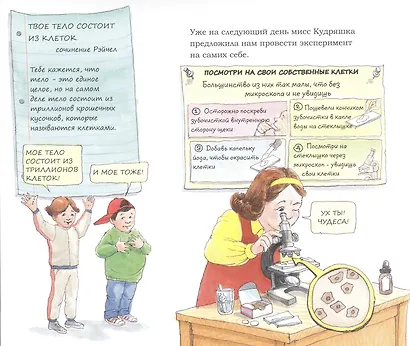Волшебный школьный автобус. Внутри человеческого тела - фото 4