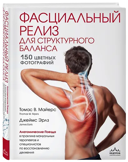 Фасциальный релиз для структурного баланса - фото 3